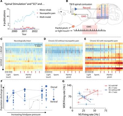 Precision neuromodulation: Promises and challenges of spinal stimulation for multi-modal rehabilitation